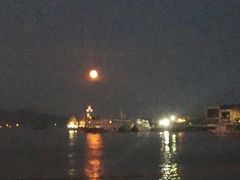 -渔中舟海鲜大排档(普陀沈家门店)