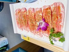 -杨记齐齐哈尔烤肉(五莲路店)