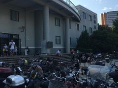 -复旦大学邯郸校区南区游泳馆