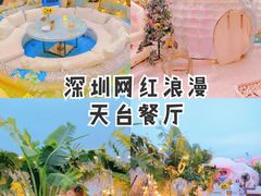 -天空花园餐吧·生日·团建(南山店)
