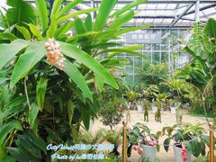 -北京植物园-展览温室