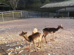 -无锡动物园·太湖欢乐园