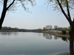 -东郊湿地公园