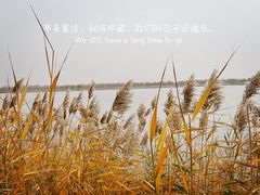 -野鸭湖国家湿地公园