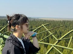 -黄海国家森林公园