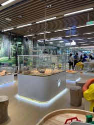 -小象动悟公园(龙湖亦庄天街店)