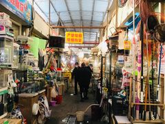 -万商花鸟市场