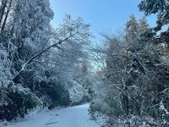 -武陵山森林公园