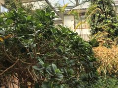 -忆江南·生态餐饮宴会酒店