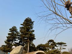 -太阳宫公园