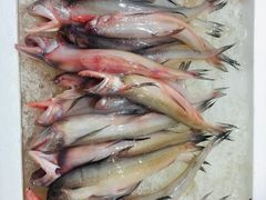 -都斛海鲜街