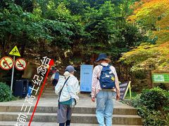 -上海佘山国家森林公园天马山园