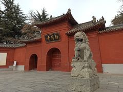 -洛阳白马寺