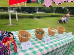 -宾果蒙特梭利托育儿童之家幼儿园(爱琴海店)