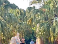-重庆海昌加勒比海水世界