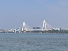 -万绿园