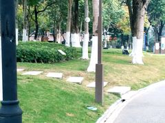 -映月湖公园