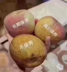 -香薇妮丝·定制减肥·身材管理