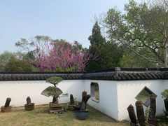 -扬州大运河文化旅游度假区·盆景园