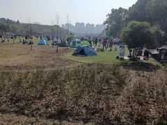 -昆山城市生态森林公园