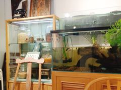 -甜心闲生传统手工冰粉(奎星楼店)