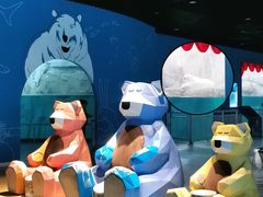 -西安曲江海洋极地公园