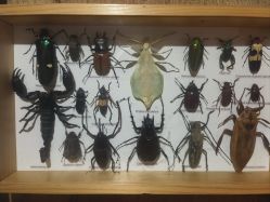 -Zoolung Zoolung动物主题公园(海信广场店)