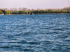 -溱湖国家湿地公园