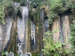 -西双版纳原始森林公园