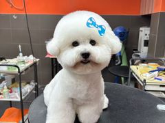 -宠宠熊宠物美容(星湖街店)