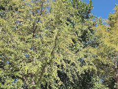 -长辛店二七公园