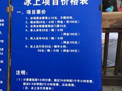 -紫竹院公园冰场