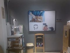 -御宝贝·A梦猫科宠物医院(国际猫友好医院)