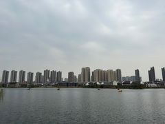 -洋湖国家湿地公园