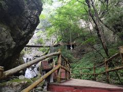 -牛背梁国家森林公园