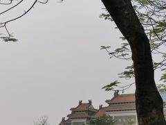 -顺峰山公园