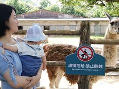 -西安秦岭野生动物园