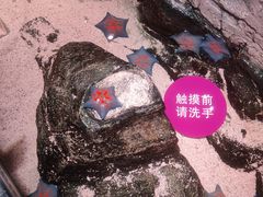 -沈阳海洋探索中心