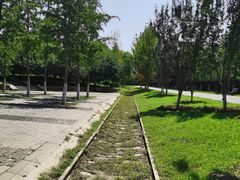 -永定河休闲森林公园