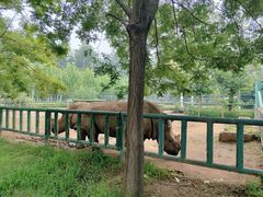 -秦皇岛野生动物园