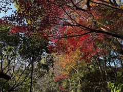 -杭州半山国家森林公园