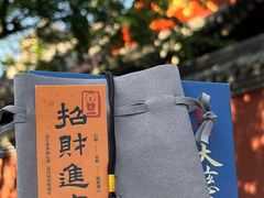 -大慈恩寺(大雁塔)