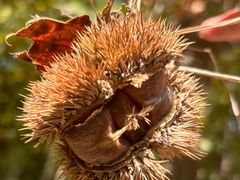 -楠溪江风景名胜区