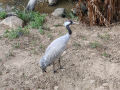 -泉州海丝野生动物世界