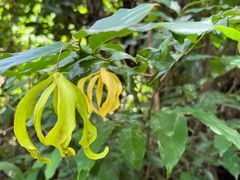 -火炉山森林公园