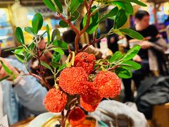 -长安大牌档之西安博物院文化餐厅(中贸店)