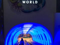 -常州海昌海洋探索馆
