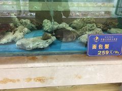 -临沂华盛江泉城大酒店