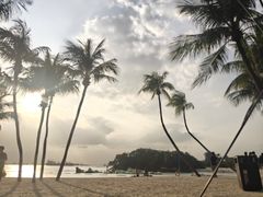 -巴拉湾海滩