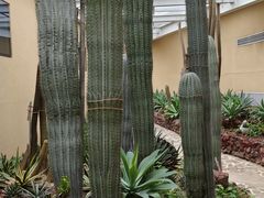 -正佳雨林生态植物园